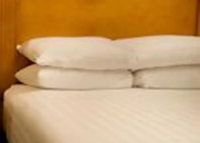 Hotel Drury Plaza Mt Vernon 4*